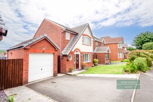 Photo 1- click for photo gallery